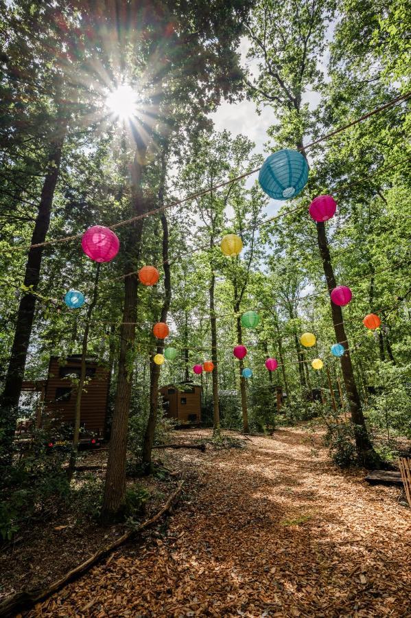 Tinyparks Forest Cabins Hoogersmilde Exteriér fotografie