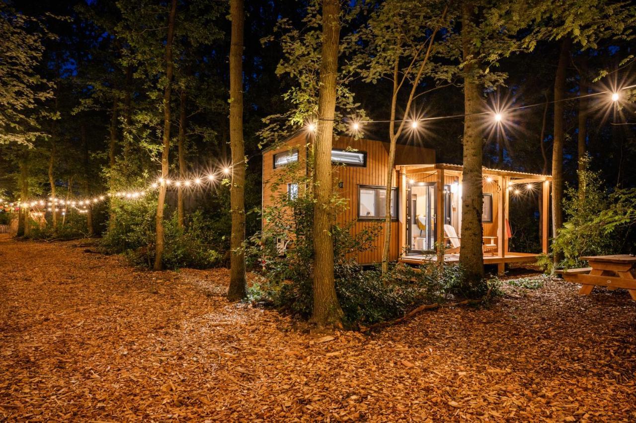 Tinyparks Forest Cabins Hoogersmilde Exteriér fotografie